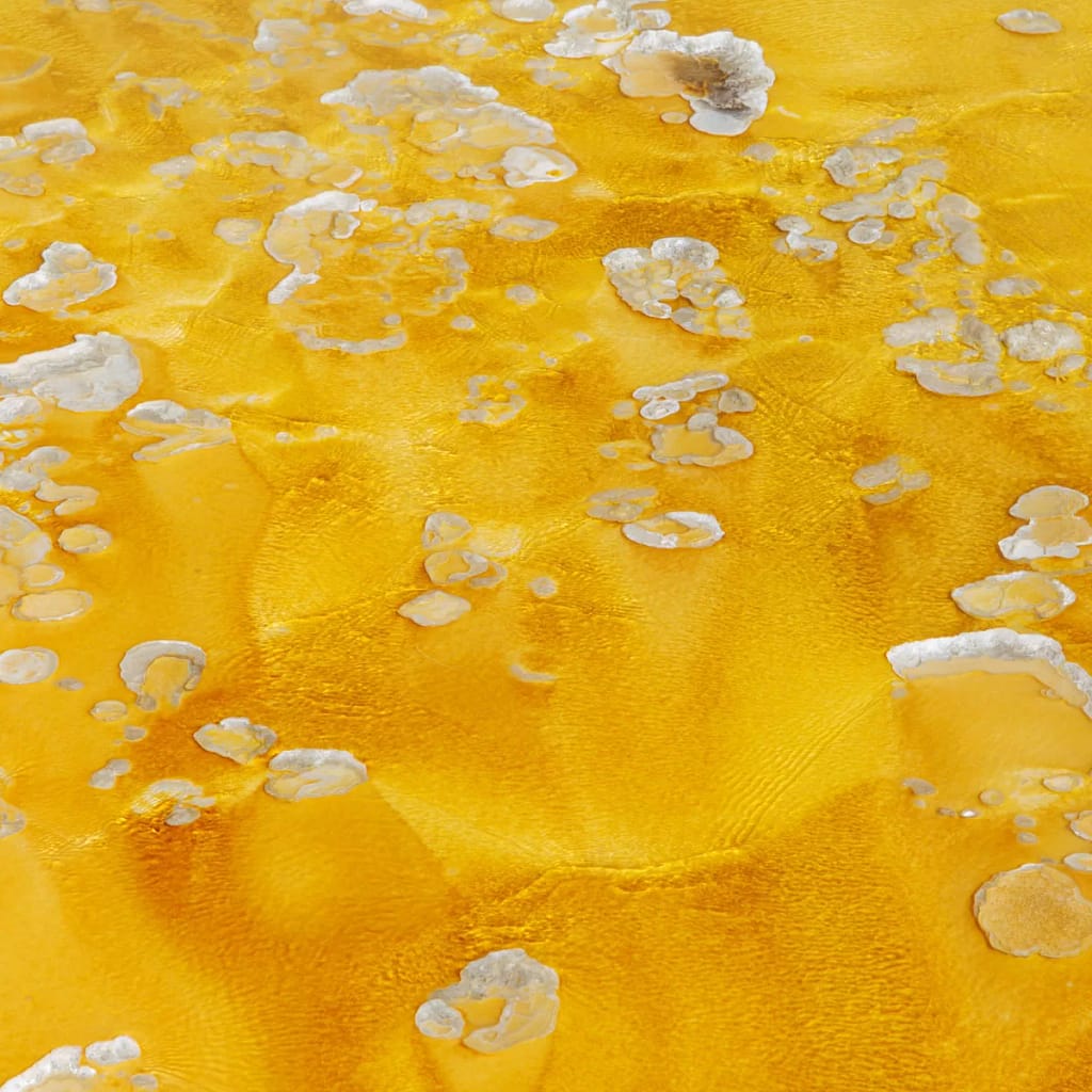 Natural Abstracts And Intimate Landscapes - Natural Abstract In Yellow