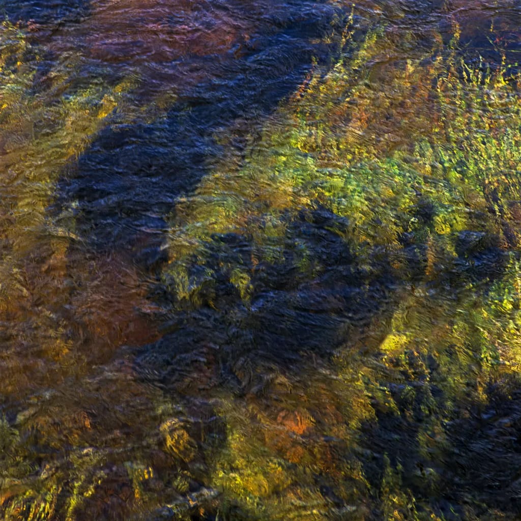 Natural Abstracts And Intimate Landscapes - Going With The Flow