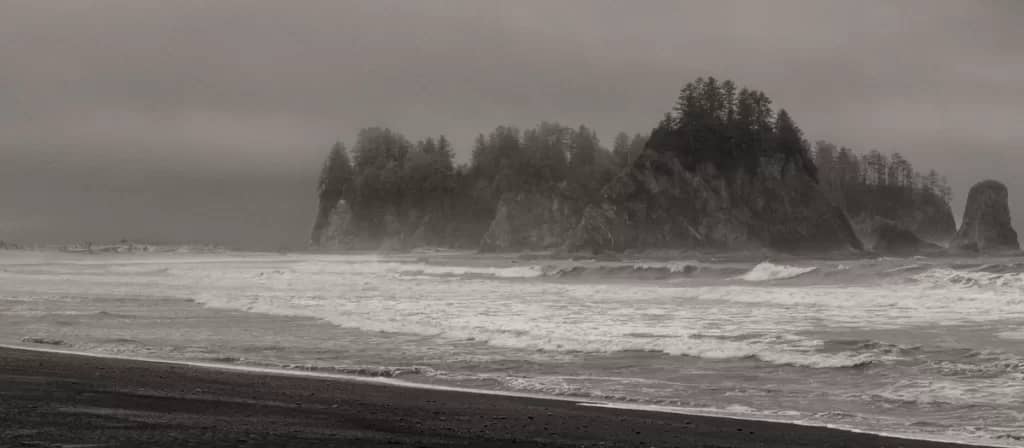 Misty Day At Rialto Beach