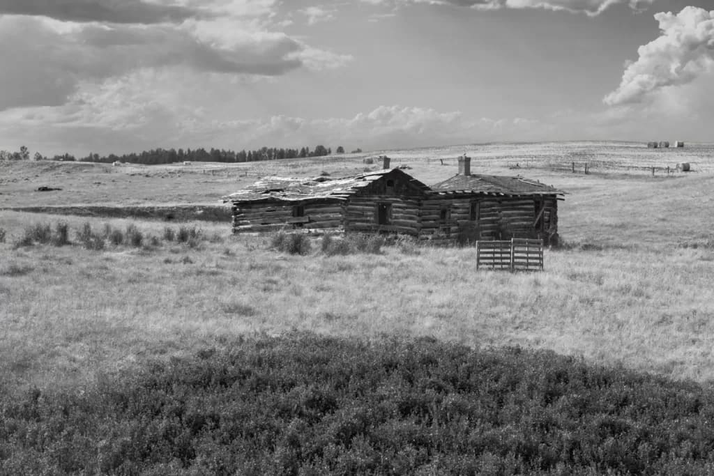 Abandoned Log Cabin