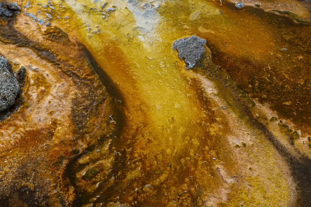 Natural Abstracts And Intimate Landscapes - Flow In Yellow And Orange