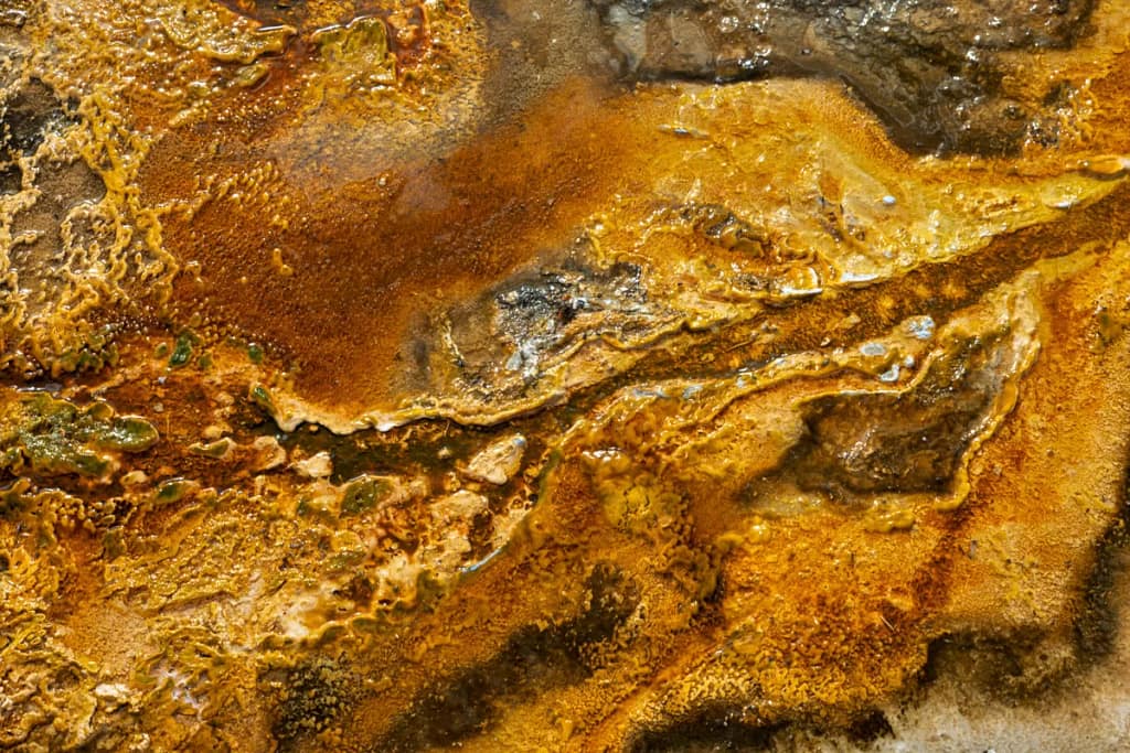 Natural Abstracts And Intimate Landscapes - Thermal Tapestry