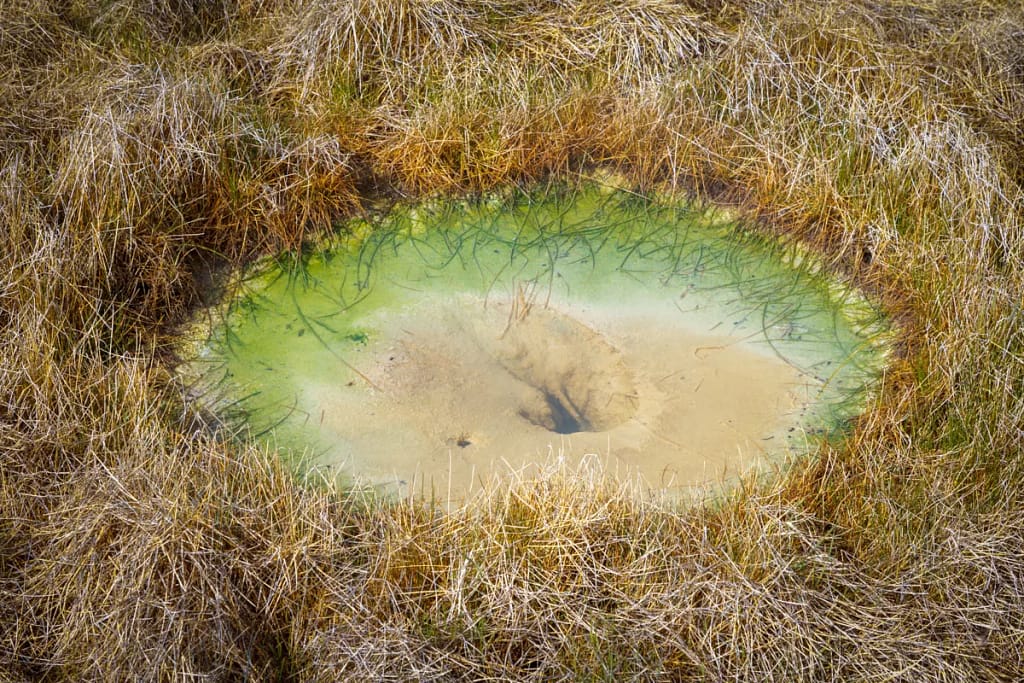 Natural Abstracts And Intimate Landscapes Green-Eyed Beauty