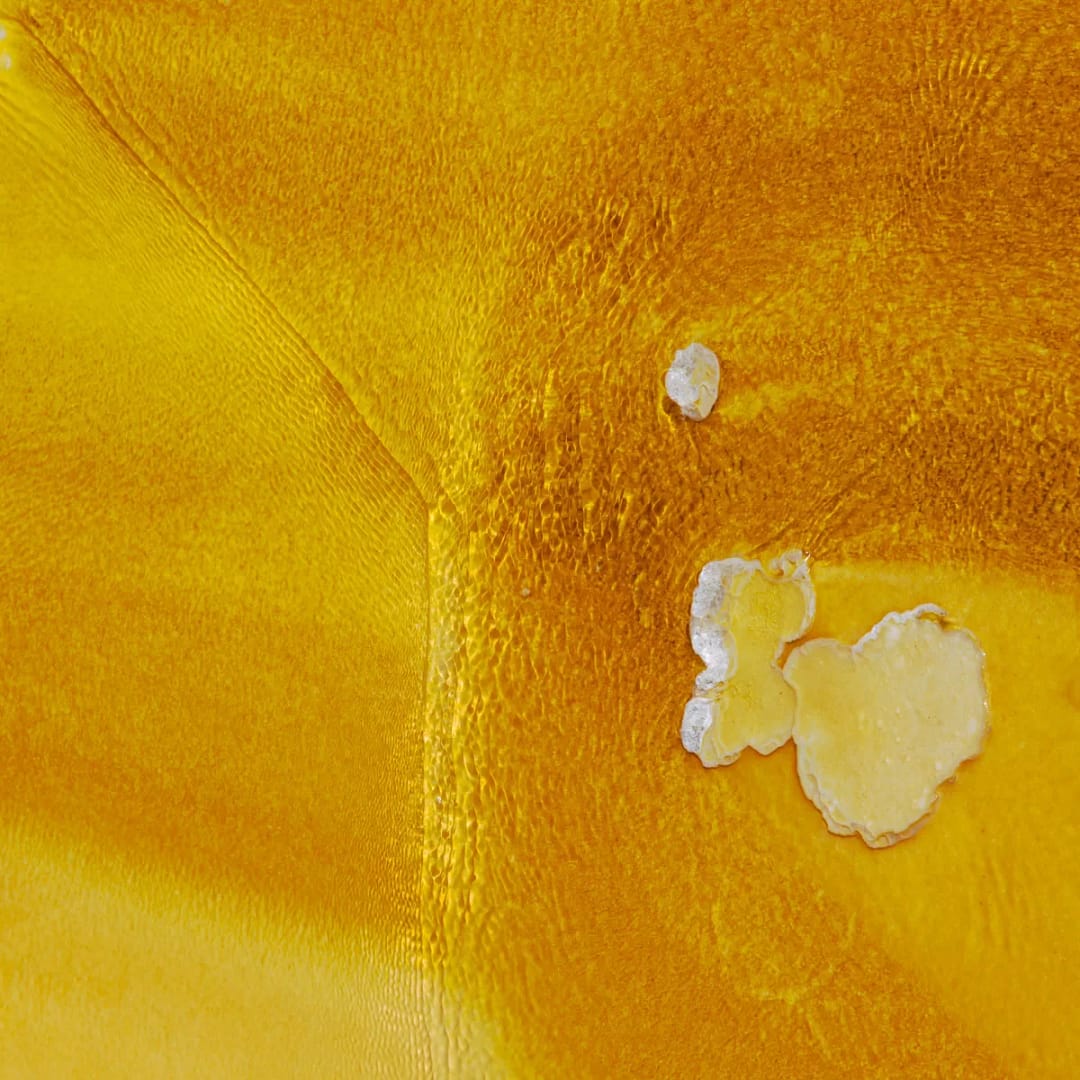 Natural Abstracts And Intimate Landscapes