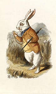 white rabbit did not have the time