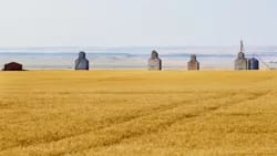 Grain Elevator