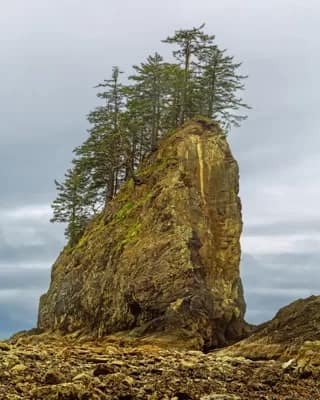 Sea Stack At Low Tide