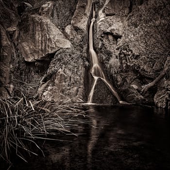 darwin falls sepia