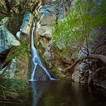 darwin falls color