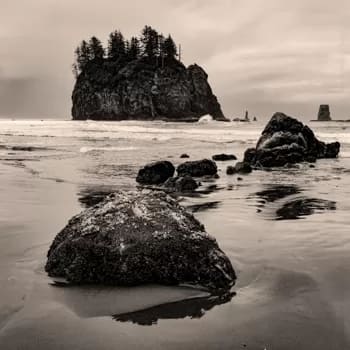 Sea Stacks