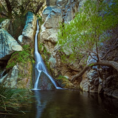 Darwin Falls – A Death Valley Wonder