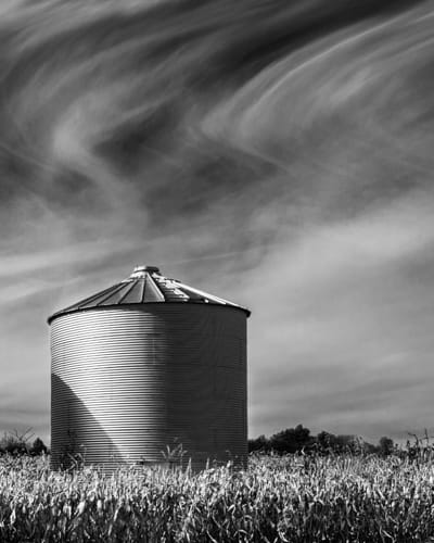silos in a november cornfield