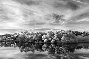 New Horseshoe Lake Sky