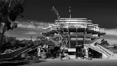 Geisel Library and the Silent Tree