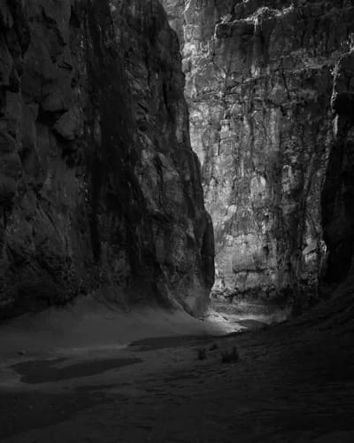 The Light Beckons