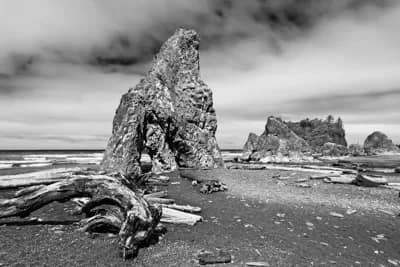 Driftwood And Sea Stacks