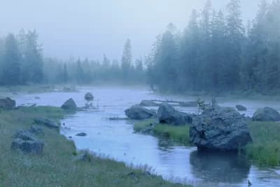 Misty Morning on the Madison